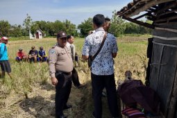 Warga Ponorogo Meninggal di Gubuk Sawah