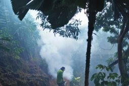 Belum ada kabupaten/kota tetapkan KLB DBD
