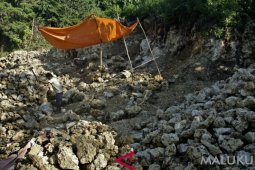 Pemkab diminta larang pengambilan batu karang