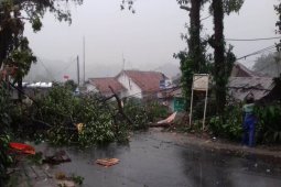 Angin kencang landa Kota Bogor