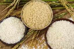 Beras organik dari Garut tembus Pasar Swalayan