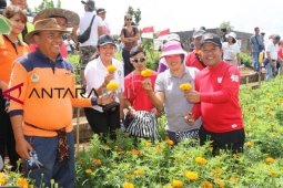 Bupati Bangli ajak pejabat petik bunga peringati Hari Ibu