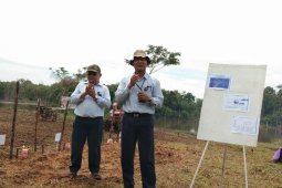 Indocement gandeng kelompok tani tanam lima hektare jagung