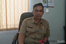 Dinas Perkim terus percantik Kota Pangkalpinang