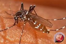 Ratusan warga PPU terserang malaria