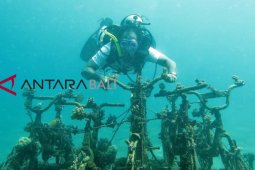 Indonesia-Monako kerja sama konservasi terumbu karang