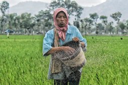 Alokasi Pupuk Bersubsidi untuk Tulungagung Dikurangi