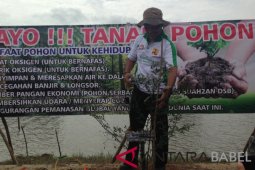 Pohon ramin Bangka Belitung punah