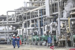 Pertamina ubah minyak sawit jadi energi ramah lingkungan