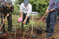 Forest Agency plants 22 types of bamboo from various countries