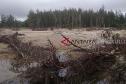 Kerusakan TWA Pantai Panjang ancam kehidupan masyarakat pesisir