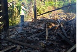 Kandang Terbakar, Empat Sapi Mati
