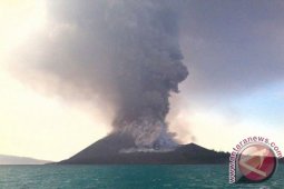 Gunung Anak Krakatau Meletus Lagi, Pernyataan PVMBG