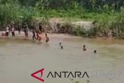 Ratusan warga saksikan evakuasi lumba-lumba putih di Sungai Kualuh