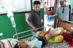 Penderita DBD di Situbondo Tercatat 27 Orang