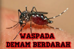 Tujuh warga Banjarmasin diserang DBD