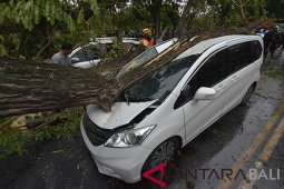 Bali dilanda angin kencang