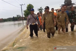 BPBD: 650 Jiwa Terdampak Banjir di Sampang
