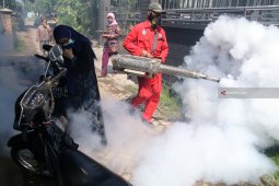 Cegah Penyebaran DBD