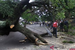 Dampak Badai Siklon Tropis