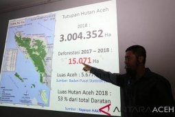 Deforestasi hutan Aceh menurun