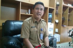 Jerman bantu Pemprov Babel reklamasi bekas tambang