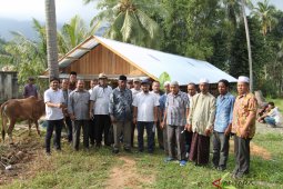 PT LCI serahkan bantuan 30 ekor sapi di Aceh