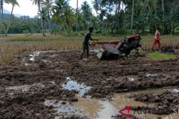 Percepatan "Tabela", Kementan sosialisasi "seed treatment" di Tapanuli Selatan