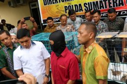 Polda Sumut ringkus penjual satwa dilindungi