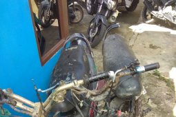 Warga Muara tewas dalam "laga kambing" septor
