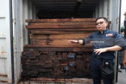 KLHK Sita Ratusan Kontainer Kayu Ilegal