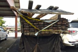 Polisi amankan satu truk kayu ilegal