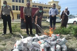 Bawaslu Banjarmasin bersihkan ratusan APK melanggar