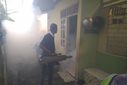 Dinkes Kota Bogor temukan 11 kasus DBD