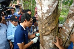Sadap karet di Ness, Sandiaga janjikan harga lebih baik