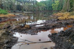 Kanker ancam kesehatan warga di sekitar penambangan minyak ilegal