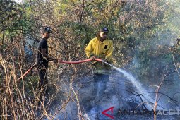 Menyoal karhutla di Aceh yang tidak pernah usai