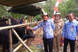 Pemkab Tapin Akan Bangun Pasar Hewan