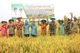 Kabupaten Sukamara berpotensi surplus hasil padi, begini kata Bupati