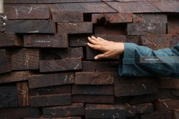 KLHK Amankan 38 Kontainer Kayu Ilegal asal Aru