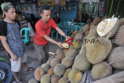 Renovasi destinasi wisata sentra durian Kuto