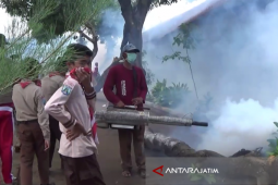 Penderita DBD di Situbondo Bertambah Menjadi 60 Orang