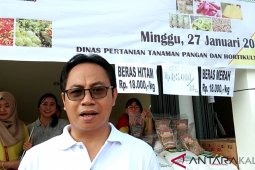 Peningkatan produksi padi masih menjadi tantangan di Kalbar