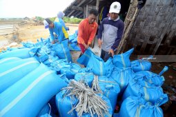 Harga Garam