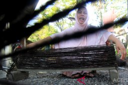 Permintaan tali ijuk tradisional di Aceh Barat meningkat
