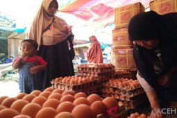 Harga telur turun di Lhokseumawe