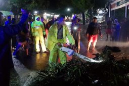 Angin Kencang Akibatkan Pohon Roboh di Ponorogo