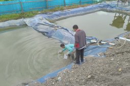Lokasi penumpukan limbah B3 dipasangi garis polisi
