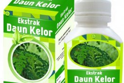 NTT meraup manfaat daun kelor