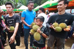 Festival buah